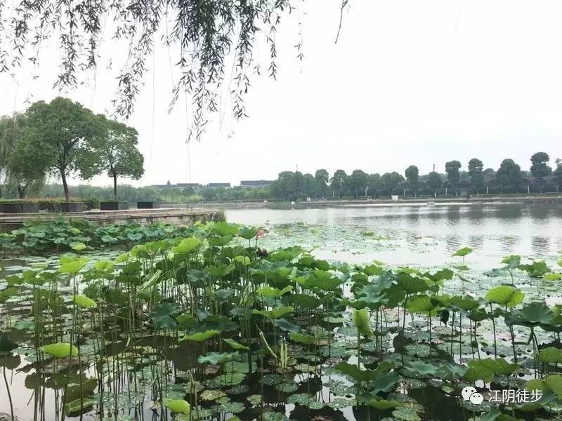 东莞东江之星最新动态，砥砺前行，星光璀璨未来
