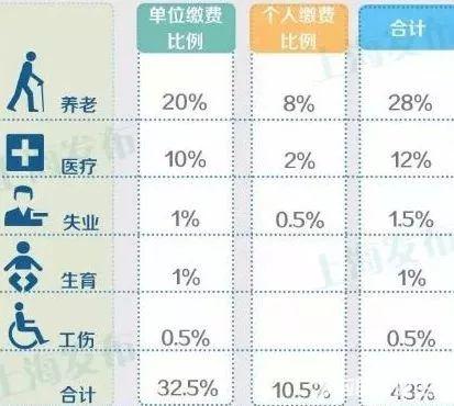 最新社保缴纳比例深度解析，观点阐述与立场探讨