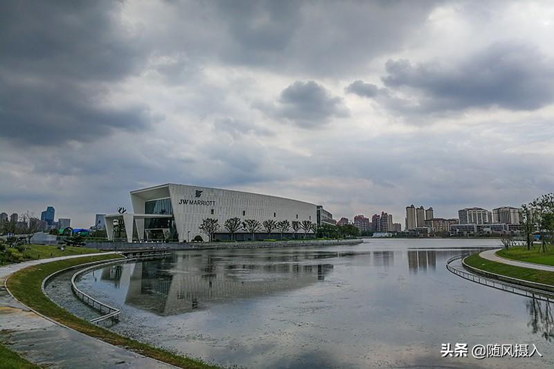 奉贤上海之鱼项目最新进展，拥抱自然的内心宁静之旅