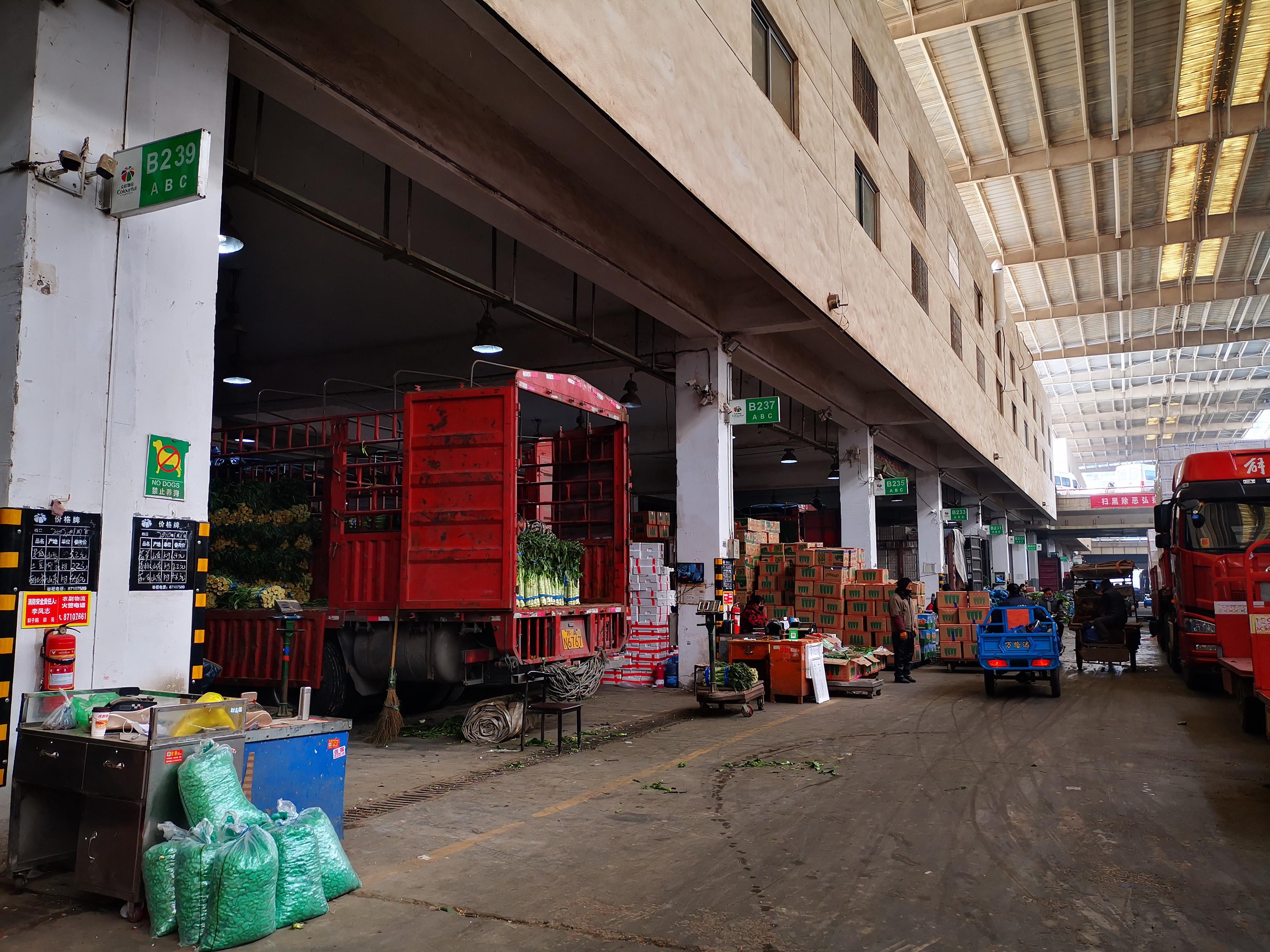 南京新鲜蔬菜速递，新鲜与健康直达您的餐桌