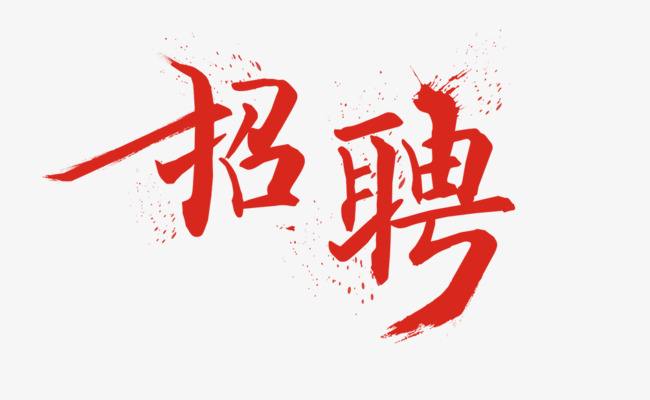 大连最新招聘信息，时代脉搏与人才交响的交汇点