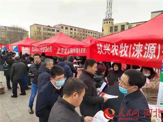 涞源县招聘网最新招聘信息，探寻职业发展热门机会